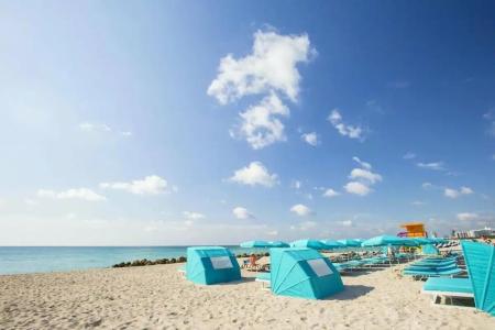 The Palms & Spa - 10