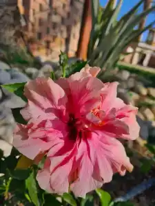 Fayrouz Resort - 35