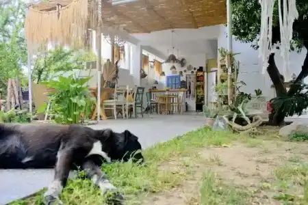 L'onda Oda Bodrum - 15