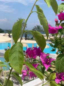 AQI Hydros Club - 55