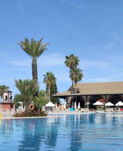 Loxia Comfort Club Side - 63