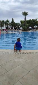 Loxia Comfort Club Side - 95