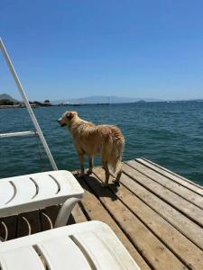 Azure By Yelken - 20