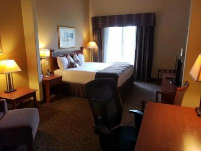 Wingate by Wyndham - Edmonton West - 28