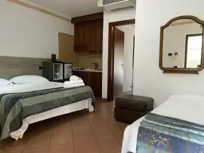 Euro House Inn Airport - 31