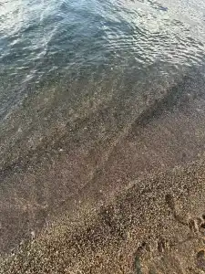 Begonville Beach - Adult Only - 58