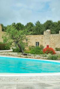 Masseria Relais Santa Teresa - 64