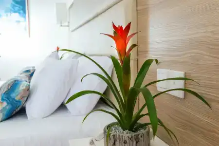 Ascos Coral Beach - 43