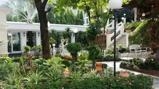 Ariston Bangkok - 3