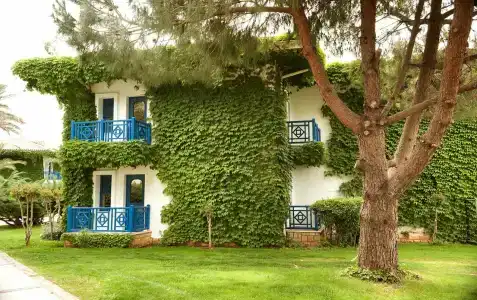 Belconti Resort - 63