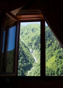 Ayder Doga Resort - 41