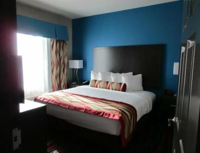 Best Western Plus Tech Medical Center Inn - 67