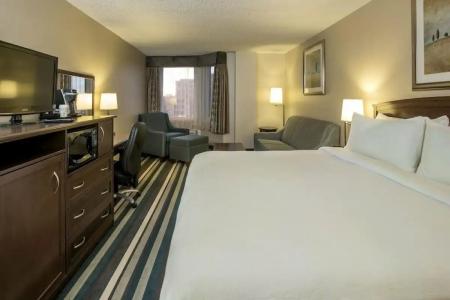 Holiday Inn Conference Centre Edmonton South, an IHG - 96