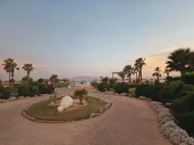 Sheraton Soma Bay Resort - 32