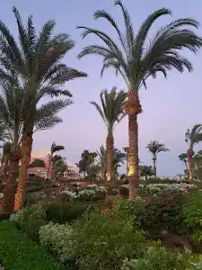 Movenpick Resort & Spa El Gouna - 67