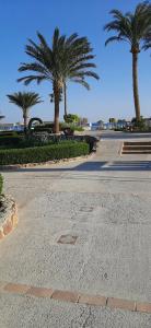 Paradise Abu Soma Resort - 83