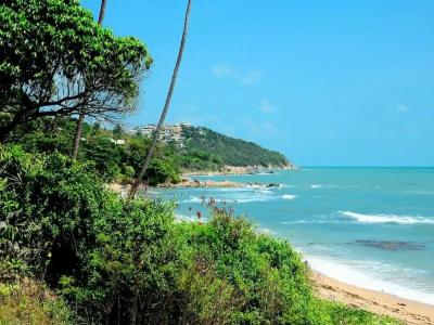 Banyan House Samui bed and breakfast (Adult Only) - 41