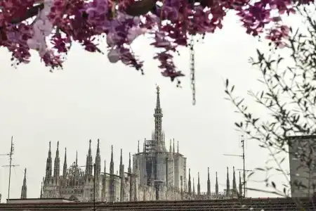 ODSweet Duomo Milano - 4