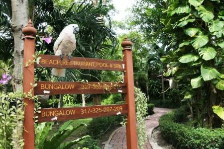 Pinnacle Samui Resort SHA Plus - 14