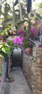 Beyaz Yunus - Adult Only - 9