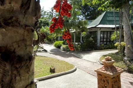 Crystal Bay Yacht Club Beach Resort - 46