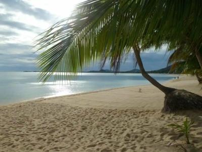 Palm Point Village - 46