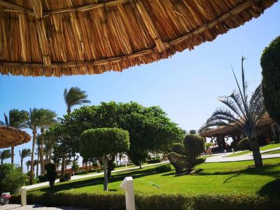 Coral Sea Waterworld Sharm El Sheikh - 93