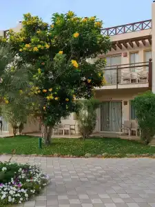 Concorde El Salam Sharm El Sheikh Sport - 40