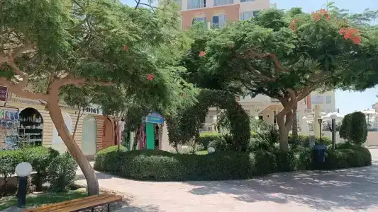 Sphinx Aqua Park Beach Resort - 28