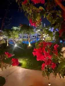 Solymar Naama Bay - 14