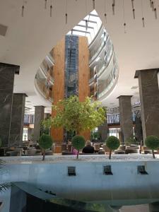 Side Crown Sunshine Ultra All Inclusive - 24