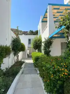 Sentido Bellazure - 50