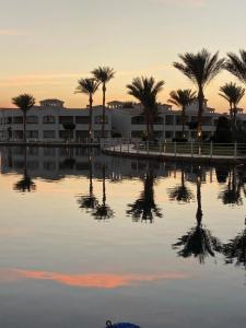 Pickalbatros Dana Beach Resort - Hurghada - 52