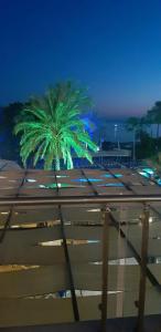 Sealife Buket Resort & Beach - 92