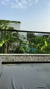 Paloma Finesse Side - 56