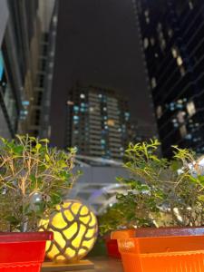 First Central Suites - 42