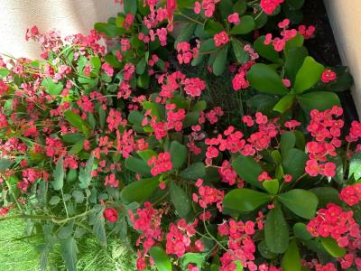 Novotel Bahrain Al Dana Resort - 98