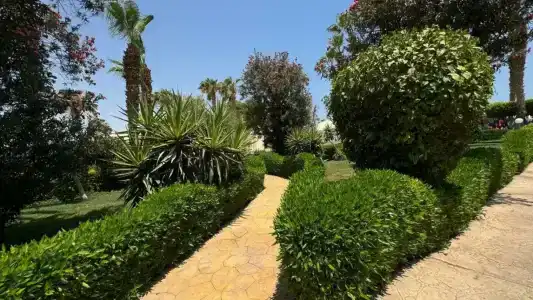 Mirage Bay Resort & Aqua Park - 129