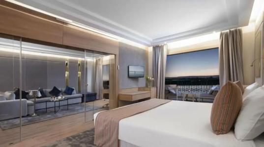 Steigenberger Nile Palace Luxor - Convention Center - 291