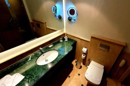 Steigenberger Nile Palace Luxor - Convention Center - 513