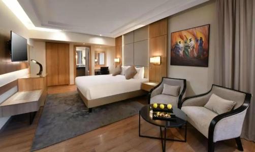 Steigenberger Nile Palace Luxor - Convention Center - 785