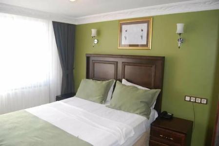 Tulip House - 134