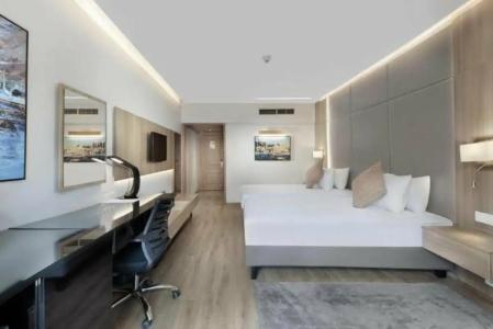 Steigenberger Nile Palace Luxor - Convention Center - 639