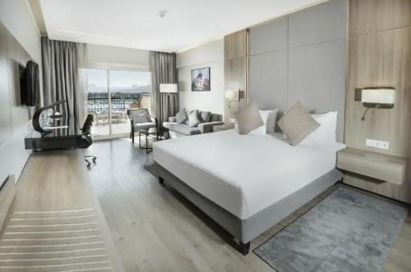 Steigenberger Nile Palace Luxor - Convention Center - 704