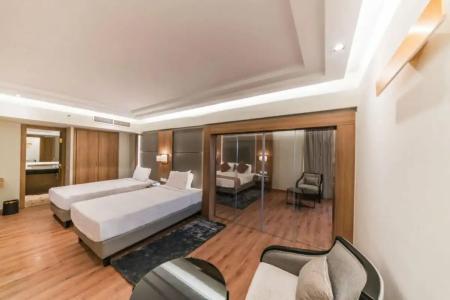 Steigenberger Nile Palace Luxor - Convention Center - 396