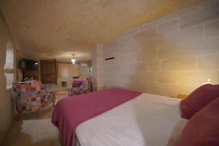 Salkım Cave House - 190