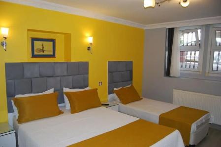 Tulip House - 104