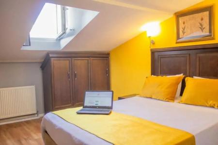 Tulip House - 145