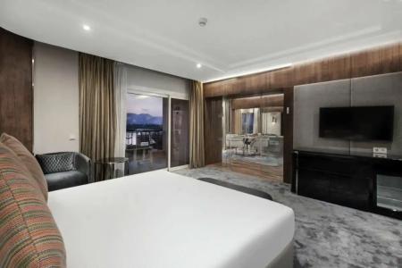 Steigenberger Nile Palace Luxor - Convention Center - 306