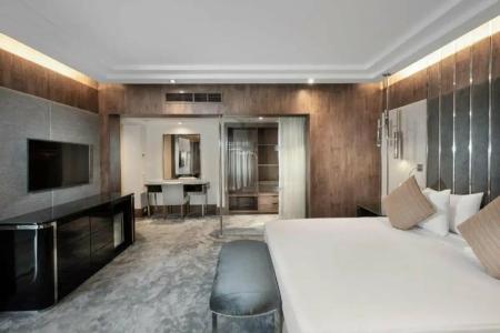 Steigenberger Nile Palace Luxor - Convention Center - 558